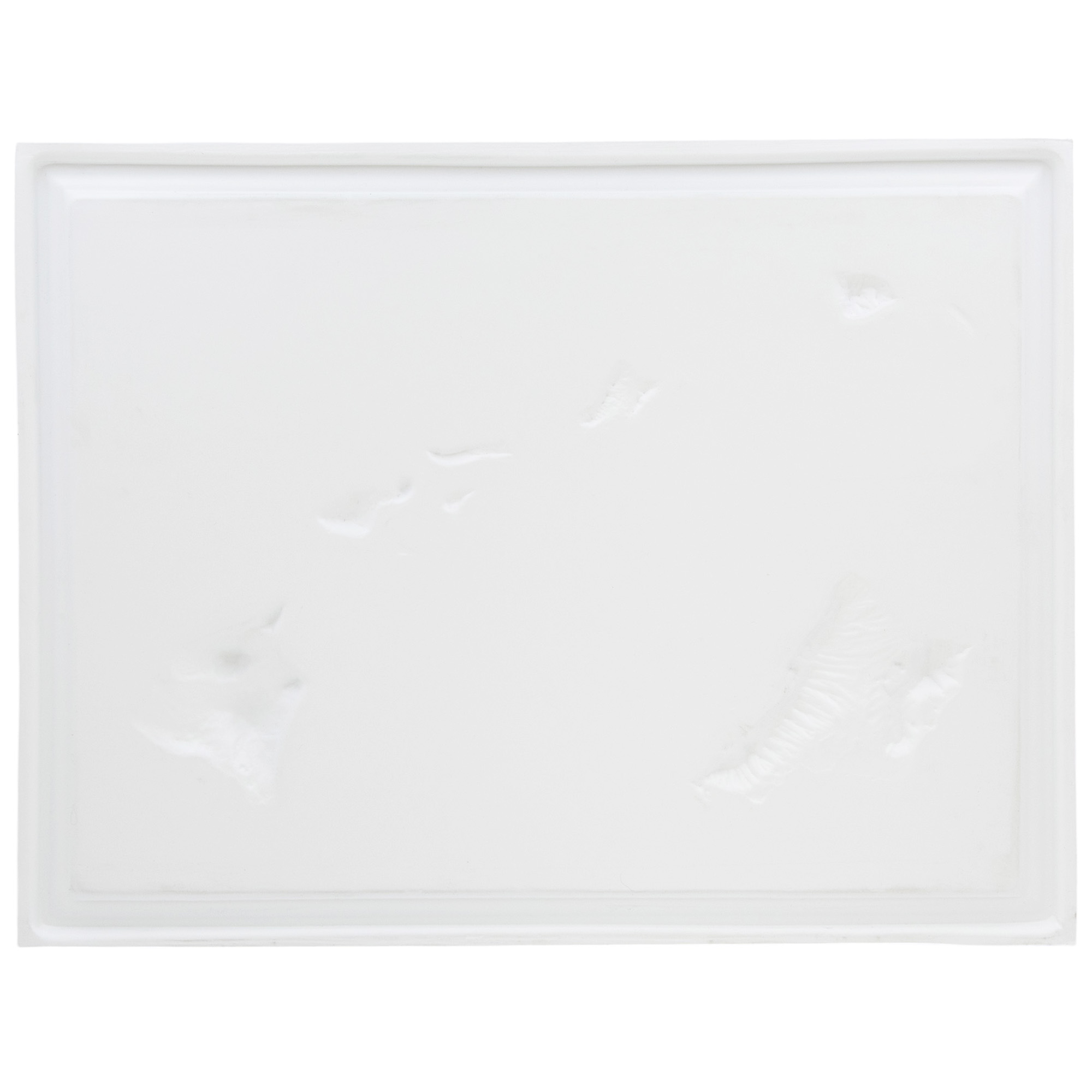 Carte En Relief 3D Hawaii – Hubbard Scientific – Couleur Naturelle, 17x22 Pouces – NEUVE